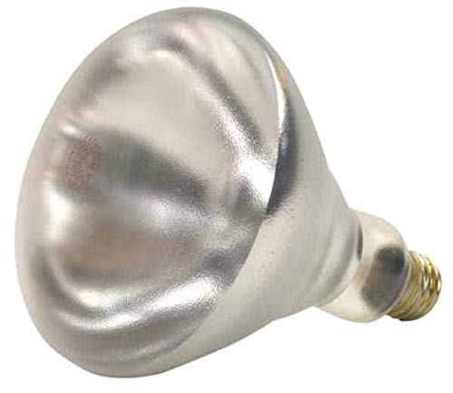 SHAT-R-SHIELD 250W R40 Incandescent Light Bulb - Case of 12 - Heat Resistant Shatterproof Bulbs for Commercial & Industrial Lighting, Warehouse, Workshop, and Outdoor Security Lights