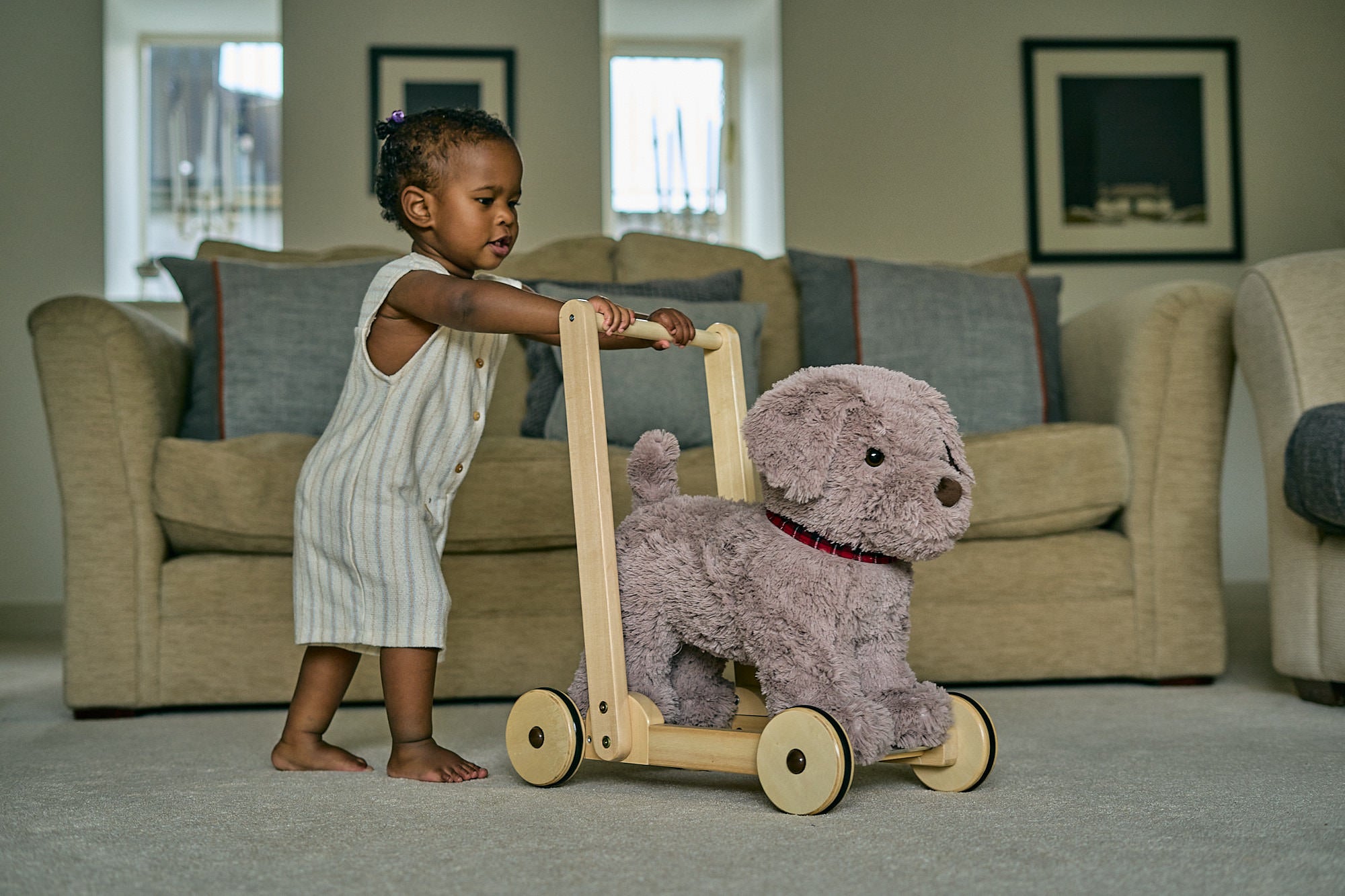 Bailey Baby Walker for Dogs - Adjustable Pet Stroller with Wheels for Small & Medium Dogs - Perfect for Outdoor Walks, Vet Visits, and Travel