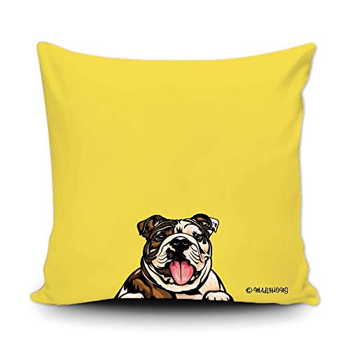 English Bulldog-1-5
