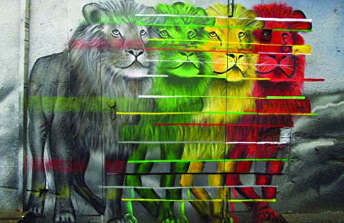 Lion Evolution