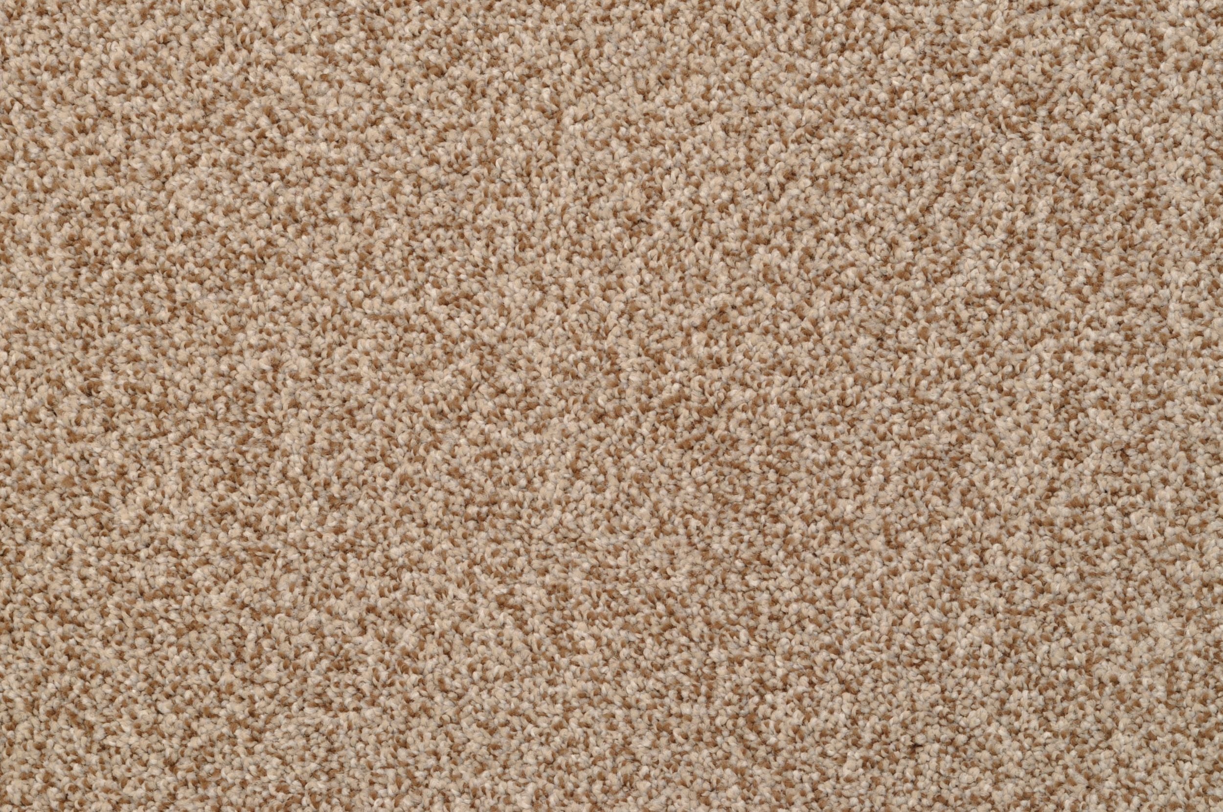 Dorion Tweed