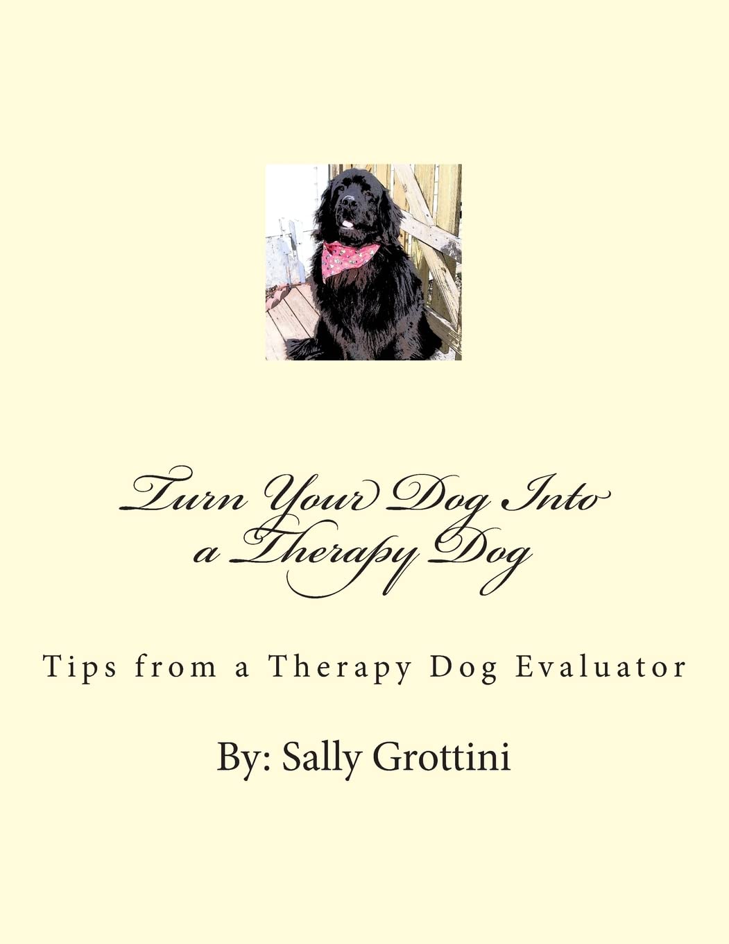 How to Train Your Dog as a Therapy Dog - Expert Tips from Certified Evaluator | Emotional Support & Hospital Visits