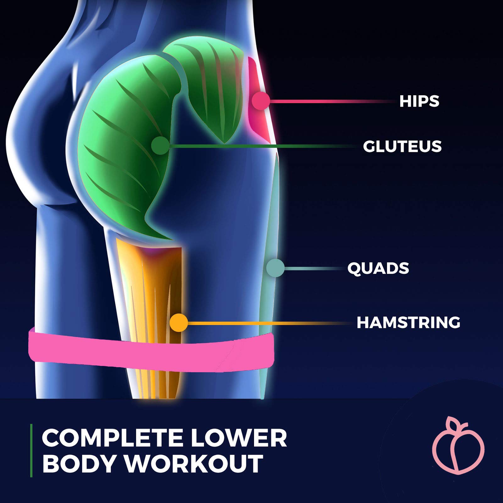 5 Pack Non-Slip Resistance Booty Bands with Travel Pouch - Premium Barre Exercise Bands for Legs & Glute Workouts - Home Fitness, Squats, Yoga, Pilates & Physical Therapy - Perfect for Women's Workout, Gym & Stretching Routines (Ideal for Home Exercise, Studio Training & Physical Rehabilitation)
