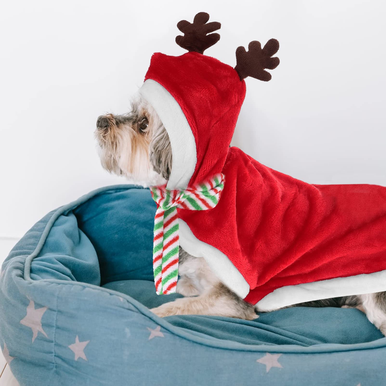 1 Set Christmas Dog Clothes for Small Dogs - Red Santa Costume with Hoodie, Scarf & Wool Flannel Outfit for Winter | Perfect for Holiday Photos, Parties & Festive Pet Fashion