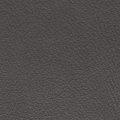 Soapstone Leather