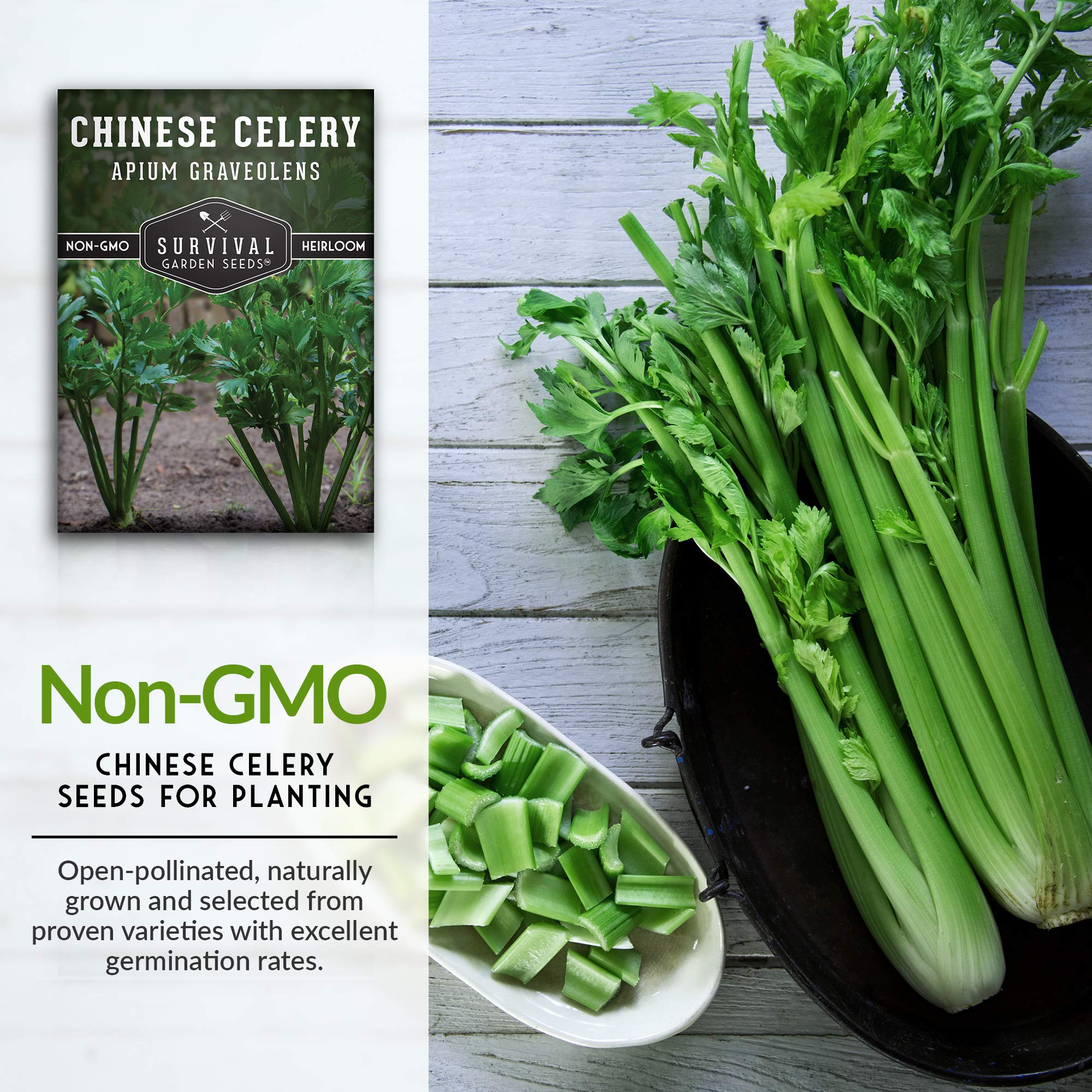 Non-GMO Heirloom Chinese Celery Seeds for Planting - Grow Asian Celery at Home with Easy Instructions - Survival Garden Seeds for Vegetable Gardening | Perfect for Home Gardens, Urban Farming & Asian Cuisine