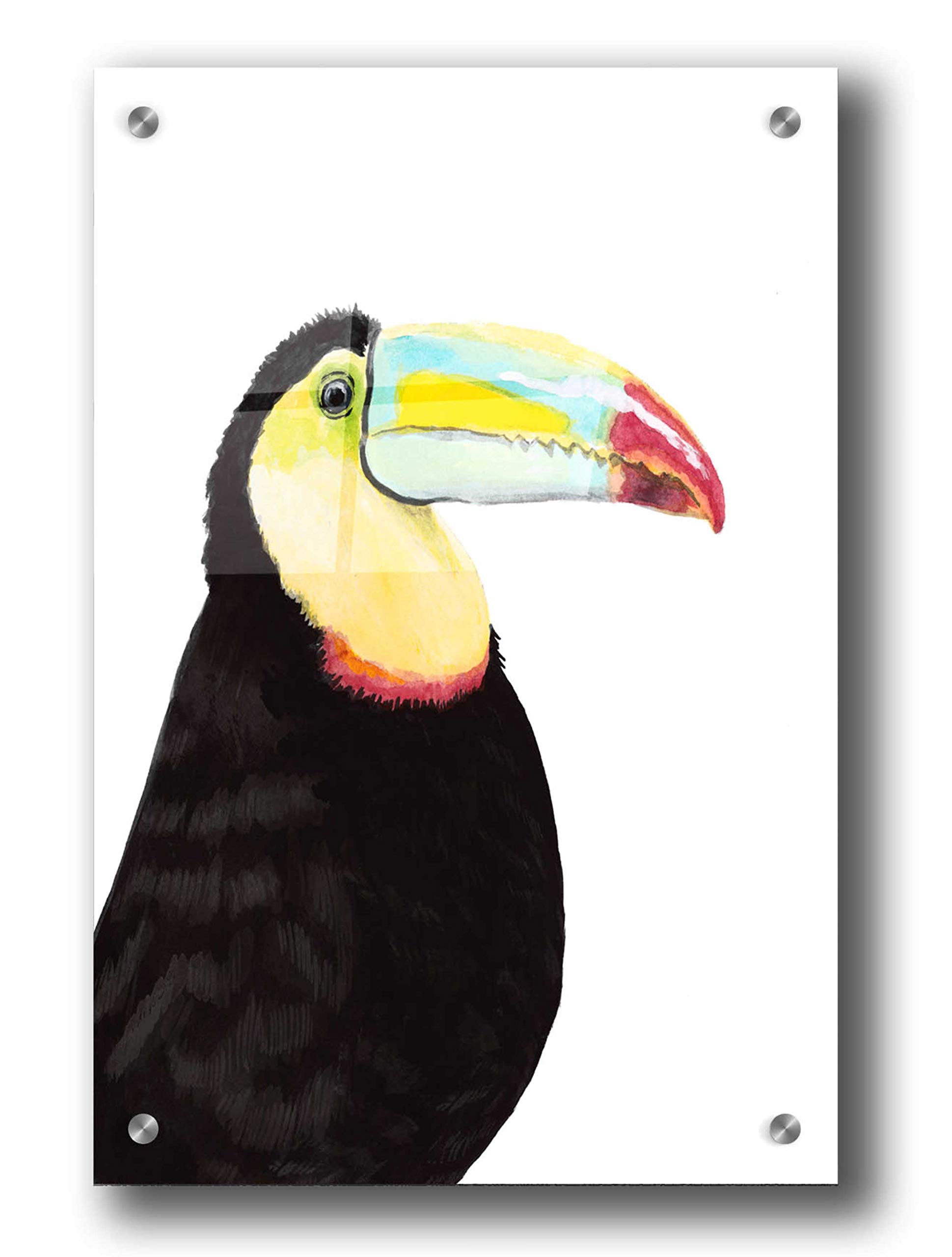 Watercolor Toucan Wall Art by Naomi McCavitt - 24x36 Inch Vibrant Tropical Bird Painting on Acrylic Glass - Perfect for Living Room, Bedroom or Office Decor