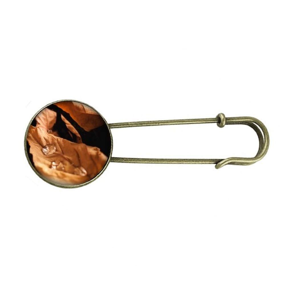 Vintage Fall Leaves Nature Photography Brooch Pin - Retro Metal Jewelry Clip for Women, Autumn Fashion Accessory - Perfect for Jackets, Scarves, Hats & DIY Crafts