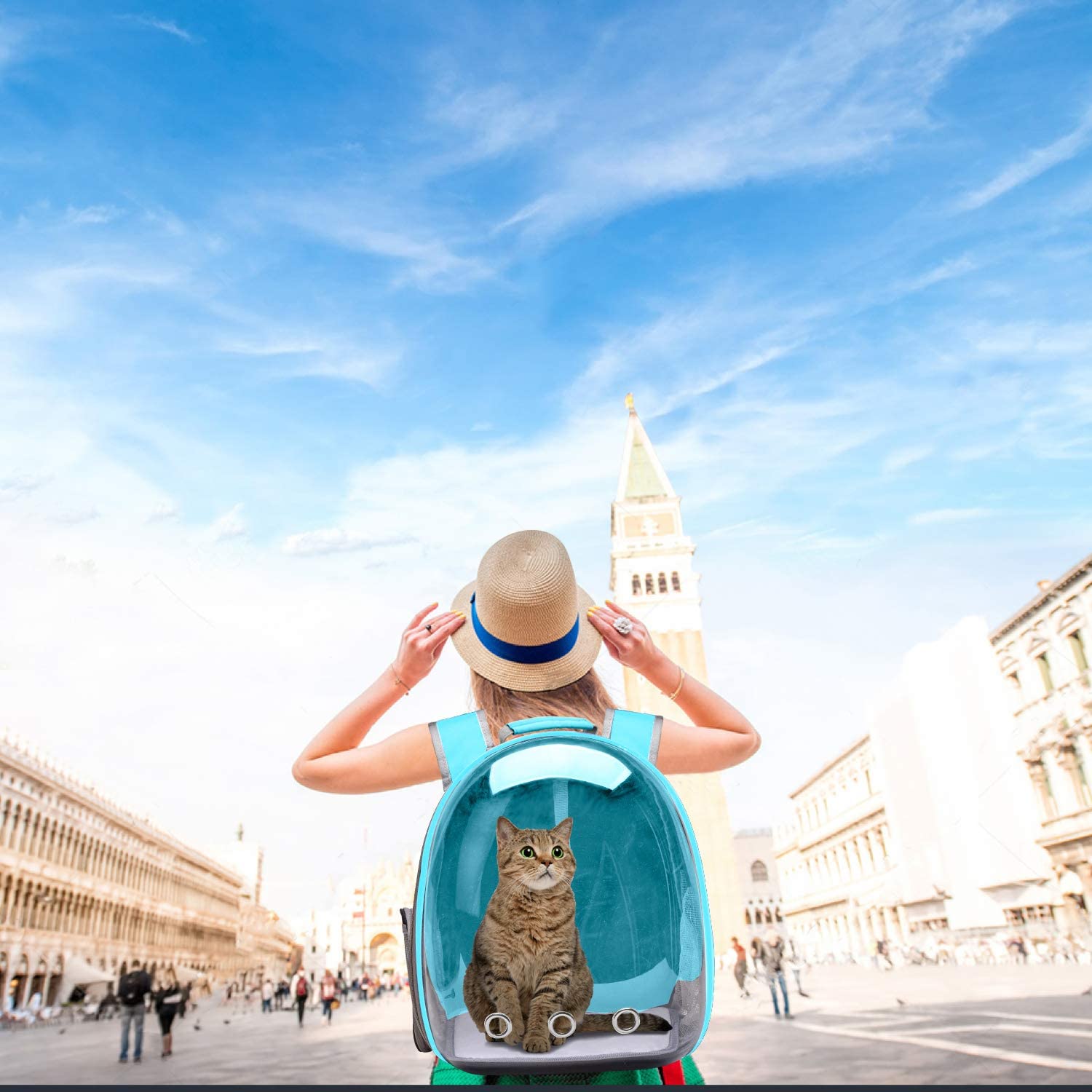 RvPaws Dog Carrier Backpack - Front & Back Pet Carrier for Small to Medium Dogs & Cats, Travel-Friendly Space Capsule Knapsack - Blue | Perfect for Hiking, Air Travel & Outdoor Adventures