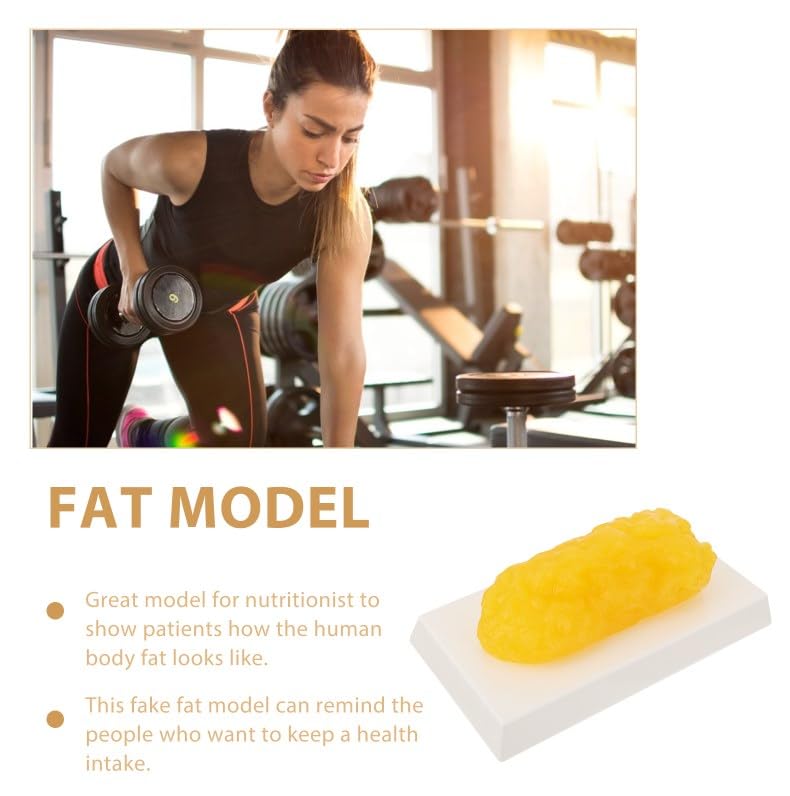1lb Human Body Fat Model - Realistic Adipose Tissue Replica for Nutrition Education & Science Classrooms | Perfect for Dietitians, Health Demonstrations & Medical Training