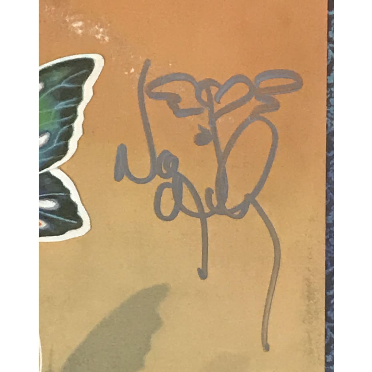 Heart Dog & Butterfly Album Signed by Ann and Nancy Wilson with JSA COA - Limited Edition Vinyl Record for Music Collectors & Rock Fans