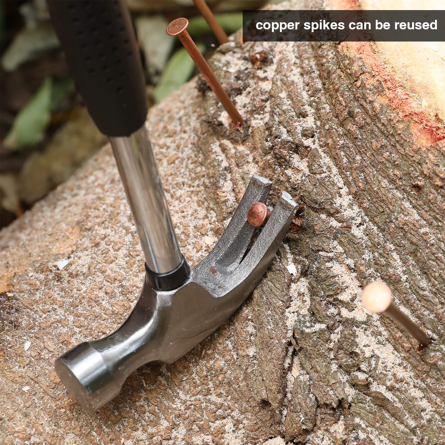 12 Pack 4 Inch (100mm) Long Copper Nails for Tree Killing & Stump Removal - Includes 1 Steel Nail & Storage Box - Ideal for Arborists, Gardeners, and DIY Tree Removal Projects