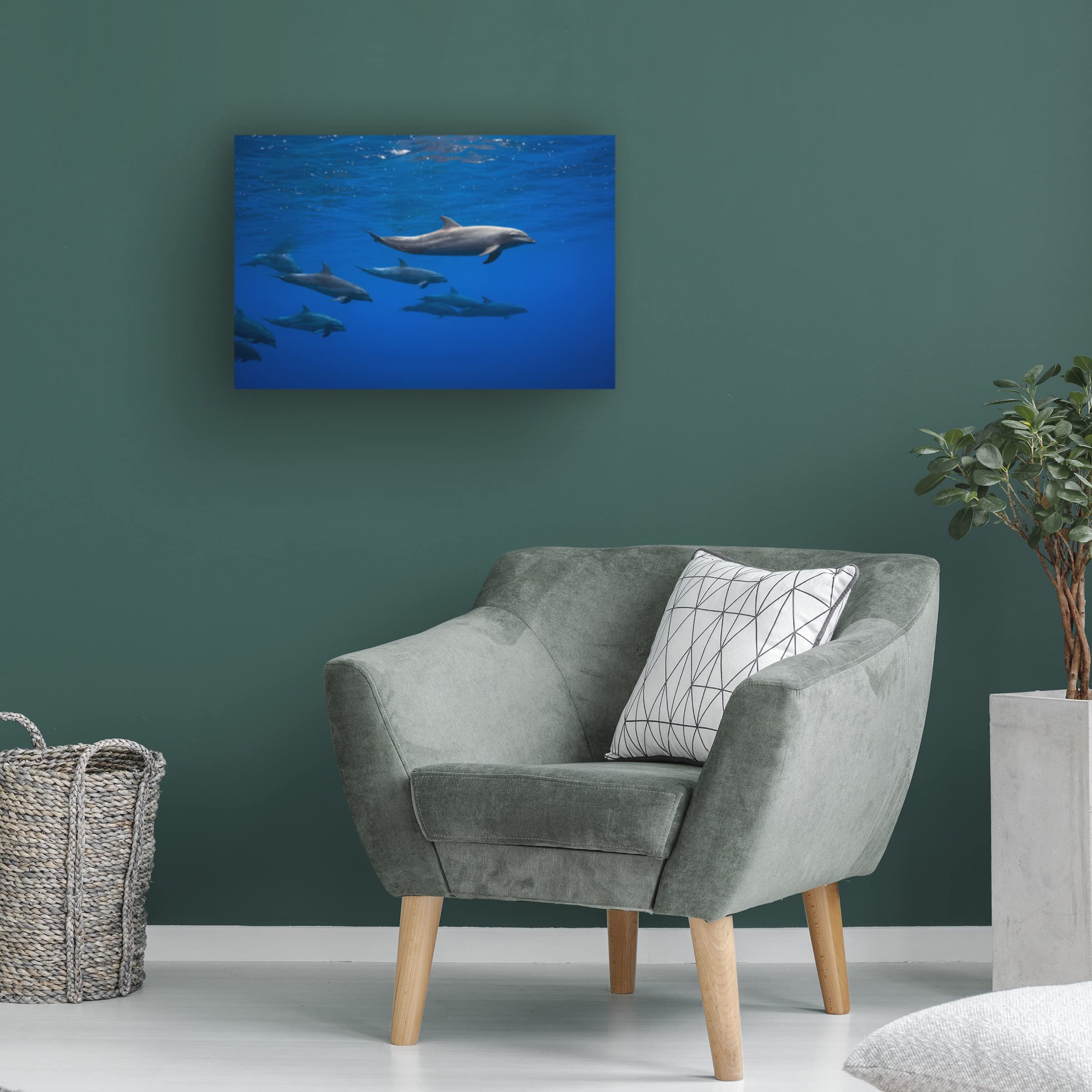 Trademark Fine Art 'Dolphins' Canvas Wall Art by Barathieu Gabriel - Stunning Ocean Wildlife Painting for Living Room, Bedroom & Office Decor