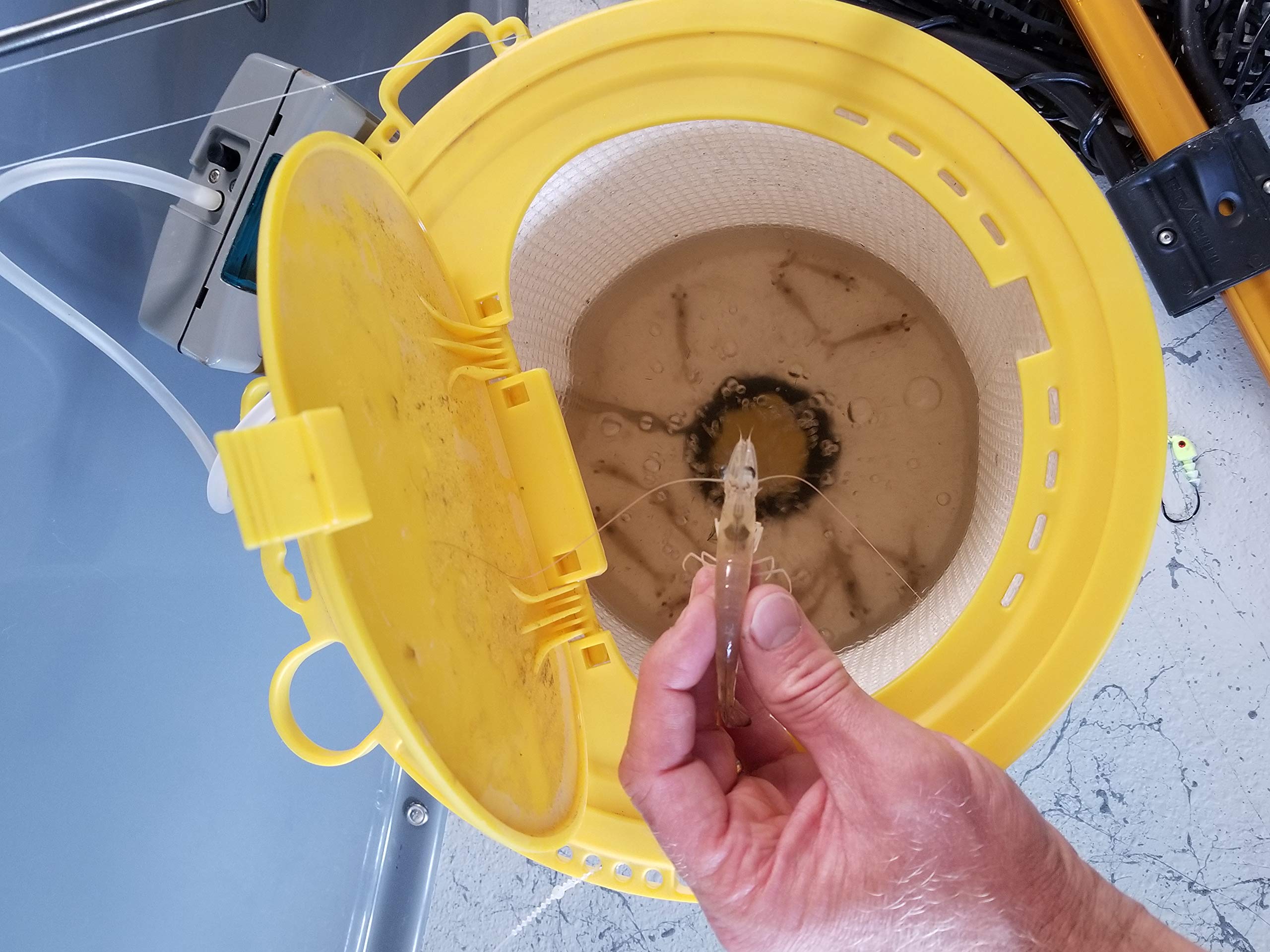 Frabill Fishing Buckets & Accessories – Durable Bait Buckets, Livewells & Gear for Ice Fishing, Kayak Fishing & Outdoor Adventures