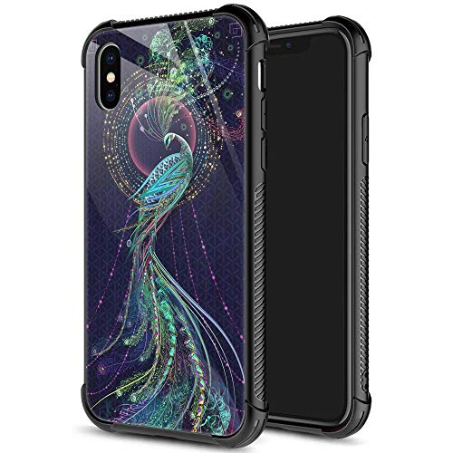 Beautiful Peacock