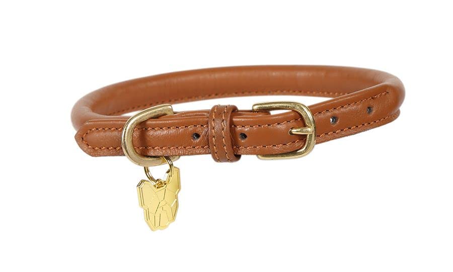 Digby & Fox Premium Rolled Leather Dog Collar - Medium/Long Size, Tan Color - Durable & Comfortable for Daily Walks, Training & Outdoor Adventures