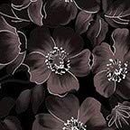Black Flowers