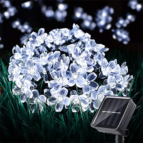 Cool White