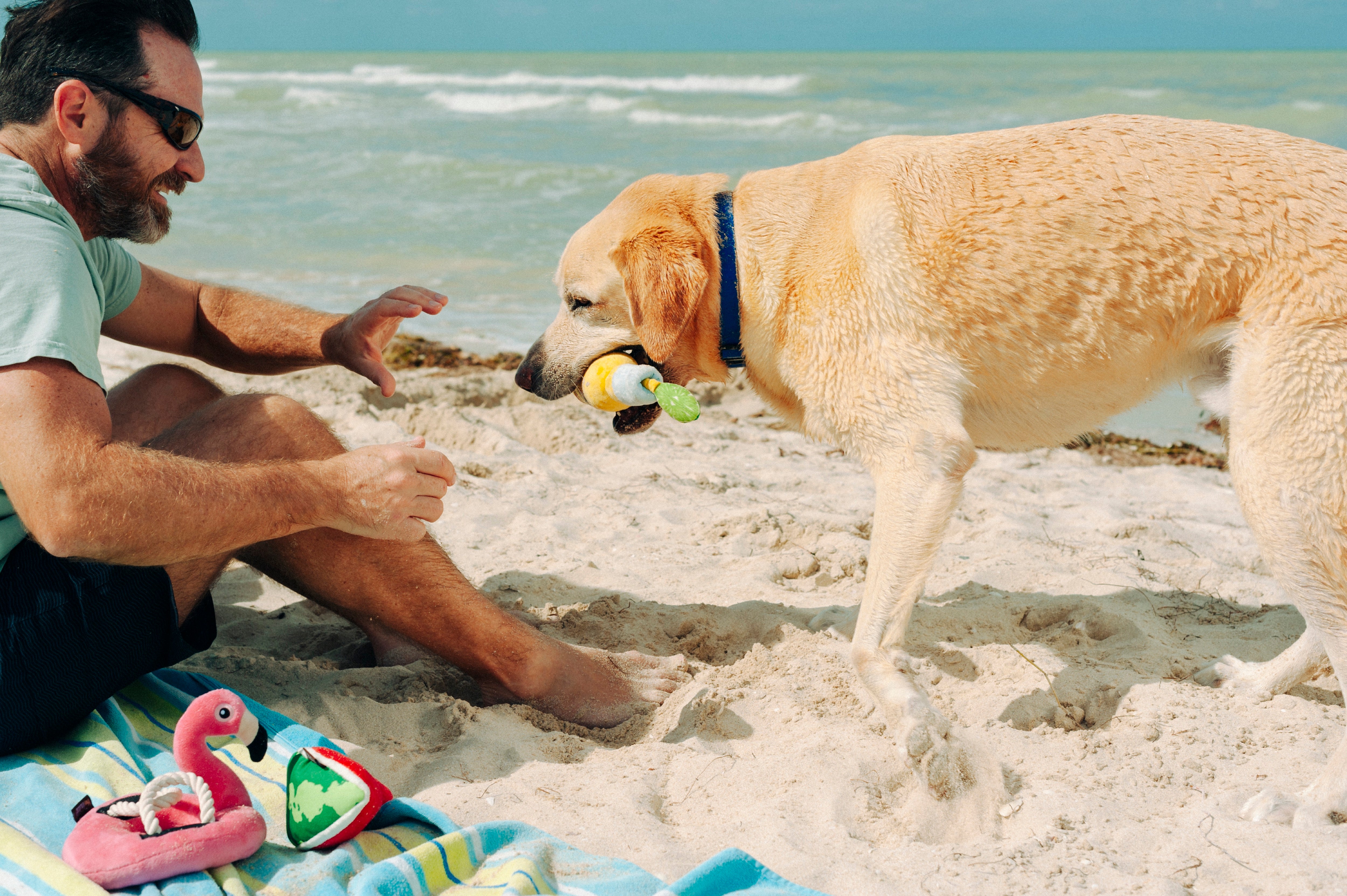 Tropical Paradise™ Watermelon Dog Plush Toy - Durable & Fun Chew Toy for Small & Large Dogs | Perfect for Playtime, Training & Cuddling | Pet P.L.A.Y.