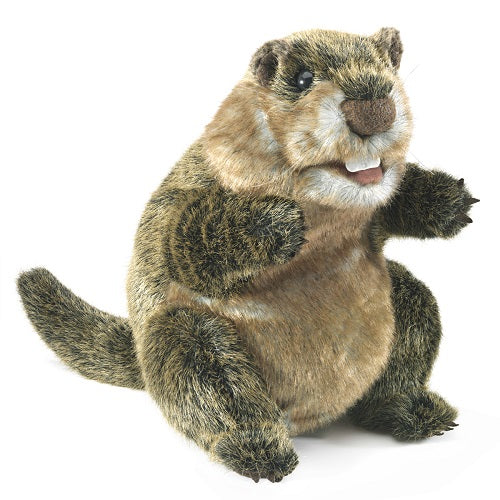 Folkmanis Groundhog Hand Puppet - Realistic Animal Puppet for Kids, Storytelling & Educational Play - Perfect for Classroom, Theater & Imaginative Play