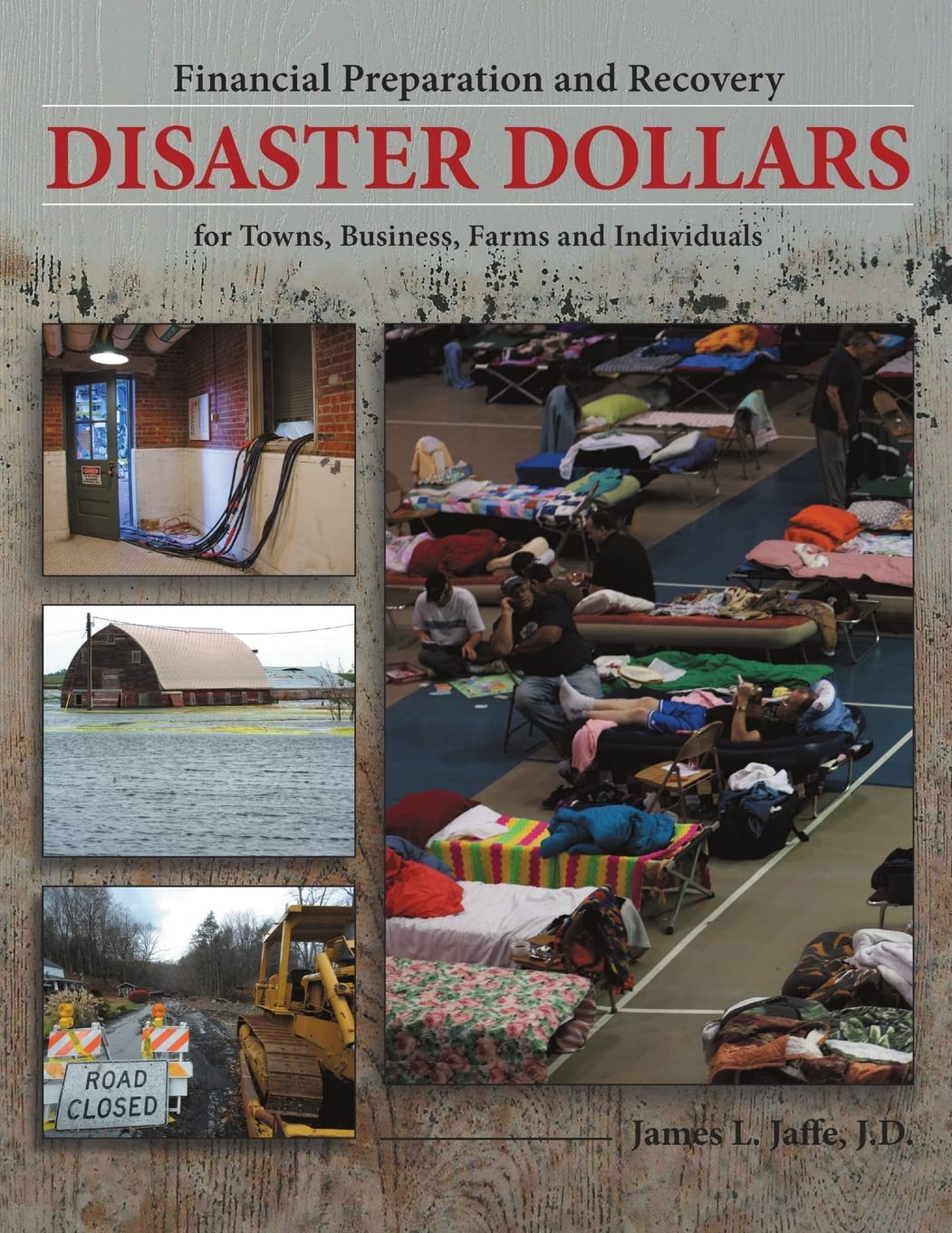 Disaster Dollars: Financial Preparation & Recovery Guide for Towns, Businesses, Farms & Individuals - Emergency Funds & Budget Planning for Natural Disasters