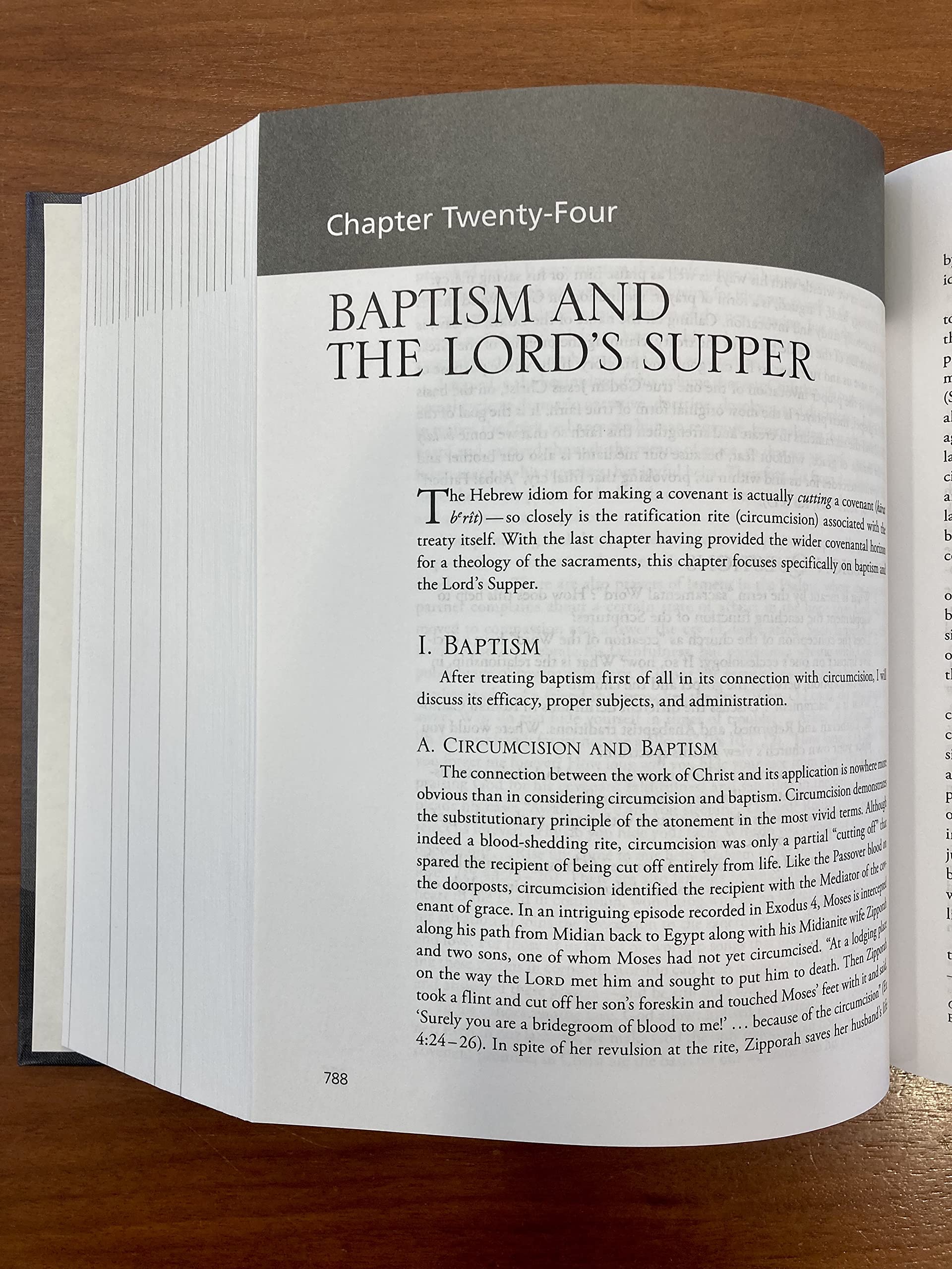 The Christian Faith: A Systematic Theology for Pilgrims on the Way - Perfect for Bible Study, Seminary Courses & Spiritual Growth