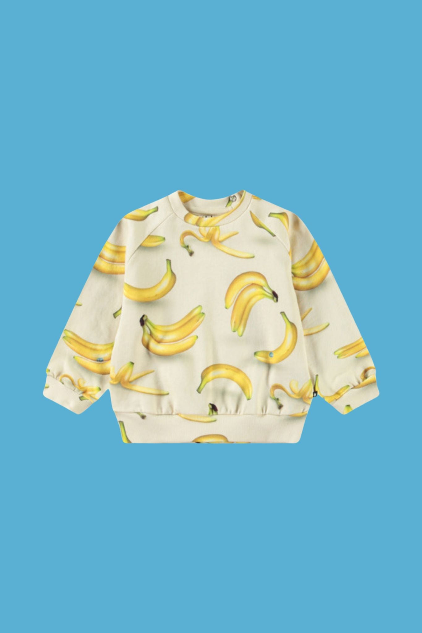 Disc Babynanas Sweatshirt for Toddler Boys - Cute & Comfortable Pullover Hoodie for Playdates & Outdoor Activities