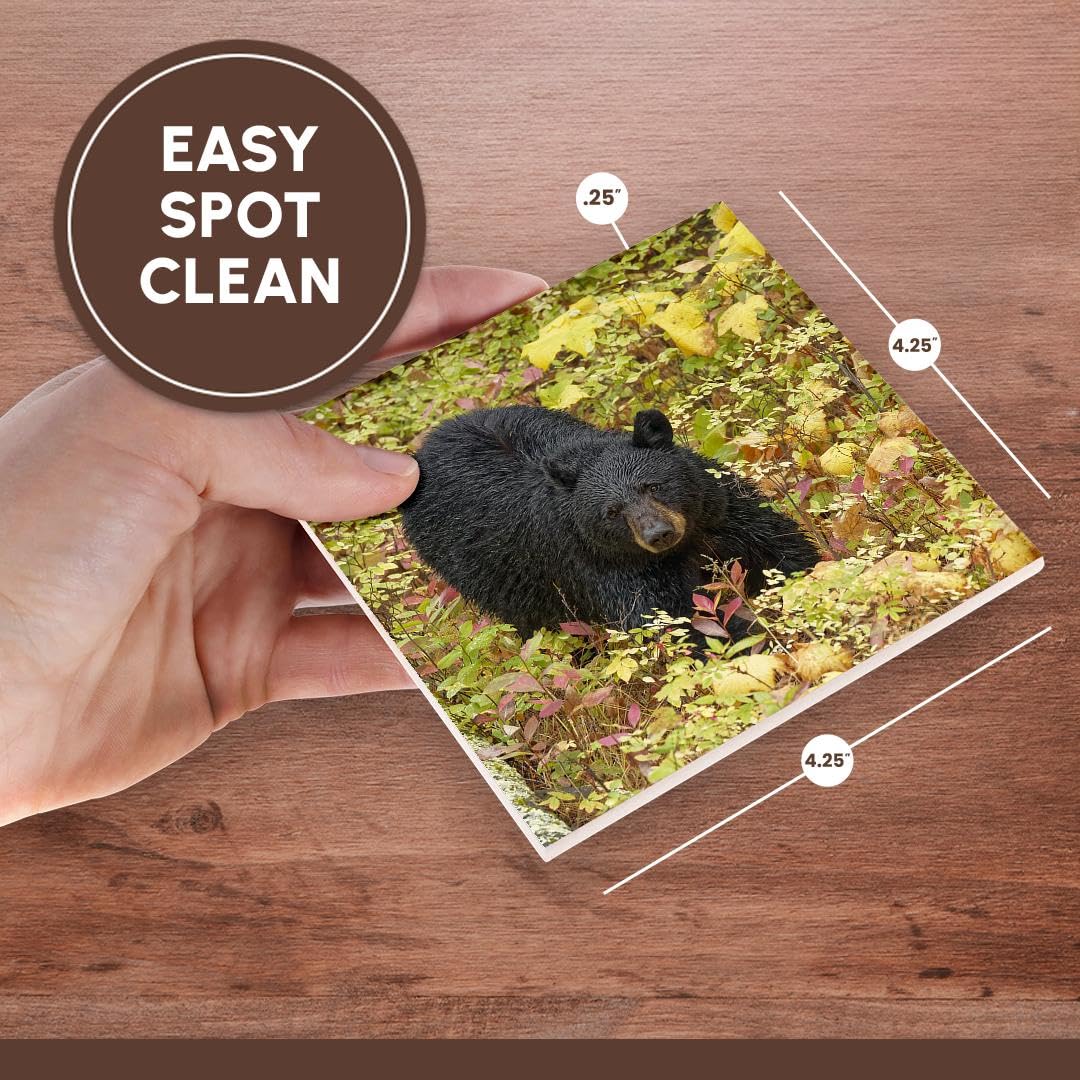3dRose Black Bear in Autumn Foliage Yellowstone National Park Ceramic Tile Coasters - Set of 4, Nature-Themed Drink Coasters for Home, Office, or Cabin Decor