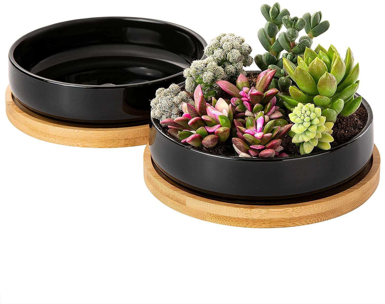 2 Pack 6 Inch Black Ceramic Succulent Plant Pots with Bamboo Tray & Drainage Hole - Indoor Flower Planters for Home, Office, Garden Decor | Perfect for Cactus, Aloe Vera & Small Houseplants
