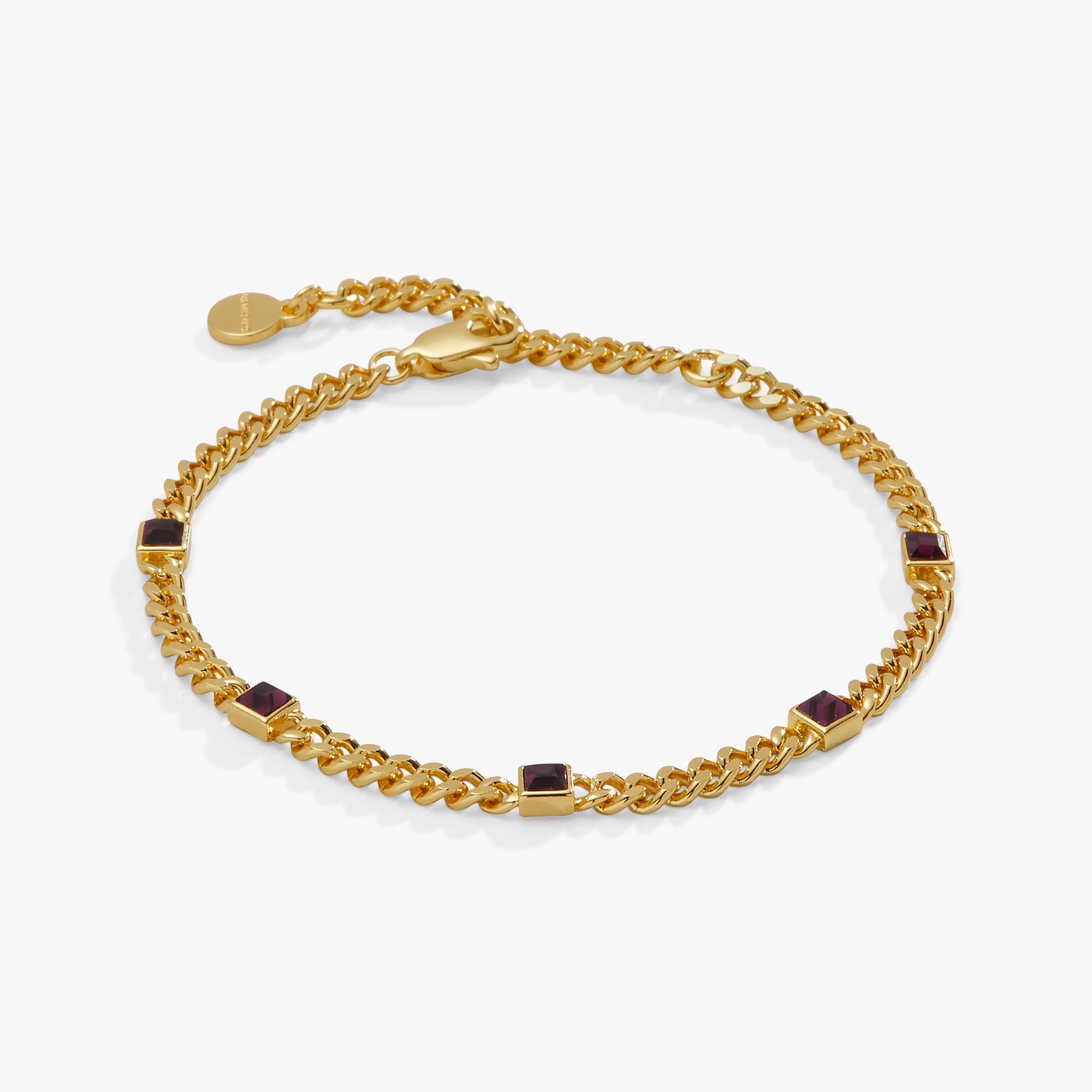 February Birthstone Amethyst Curb Chain Bracelet for Women | Sterling Silver Adjustable Jewelry Gift for Valentine's Day, Anniversary & Special Occasions