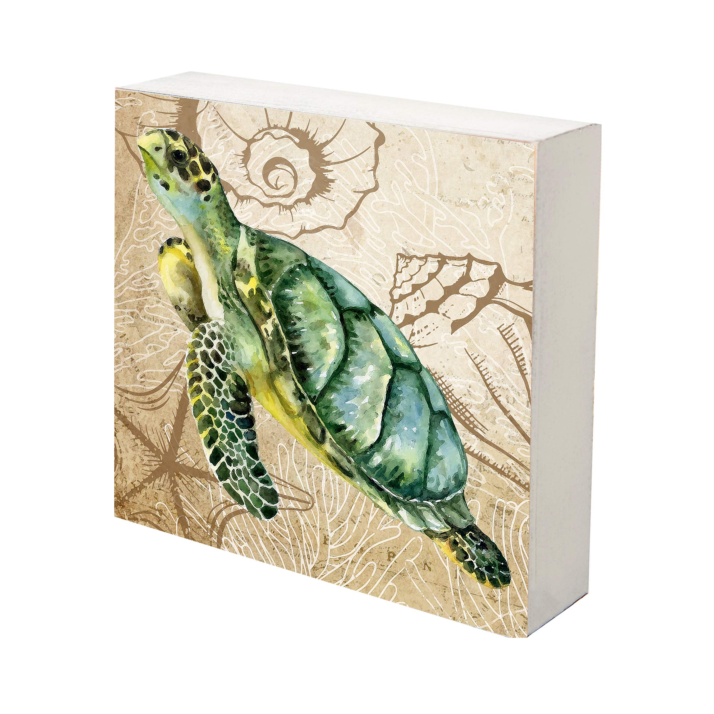 LifeSong Milestones Sea Turtle Framed Wall Art - 10x10 Inch Shadow Box Decor for Bedroom, Bathroom, Living Room & Home Office - Perfect for Beach House, Nursery or Coastal Theme Decor (Green)