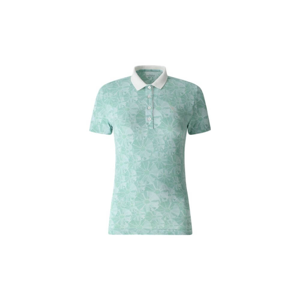 AQUA GREEN SEA ERCHIN