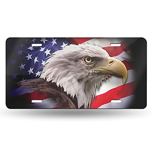 American Eagle Flag