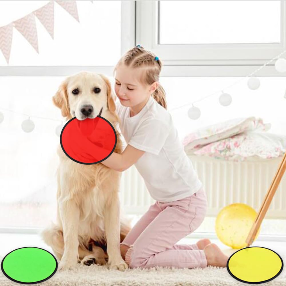 10-Pack Foldable Flying Disc Fans with Carry Bag - Portable Pocket-Sized Beach Flying Discs for Outdoor Games, Parties, Summer Fun & Travel Activities