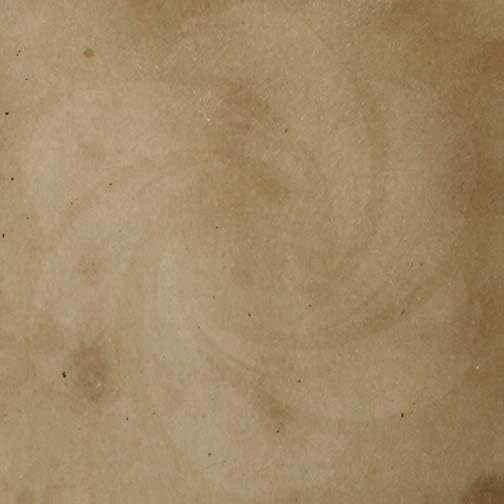 Timberwolf Concrete Acid Stain - Soft Brown Color (1 Gallon) for Floors, Patios & Driveways | Eco-Friendly & Durable