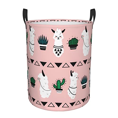 Alpaca
