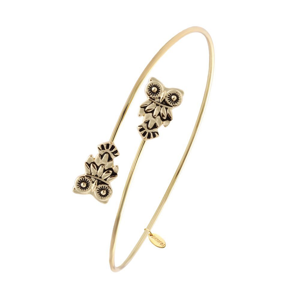 Stylish Owl Charm Bracelet for Women - Silver & Gold Plated Friendship Bangle - Perfect Gift for Best Friends, Birthday & Everyday Wear