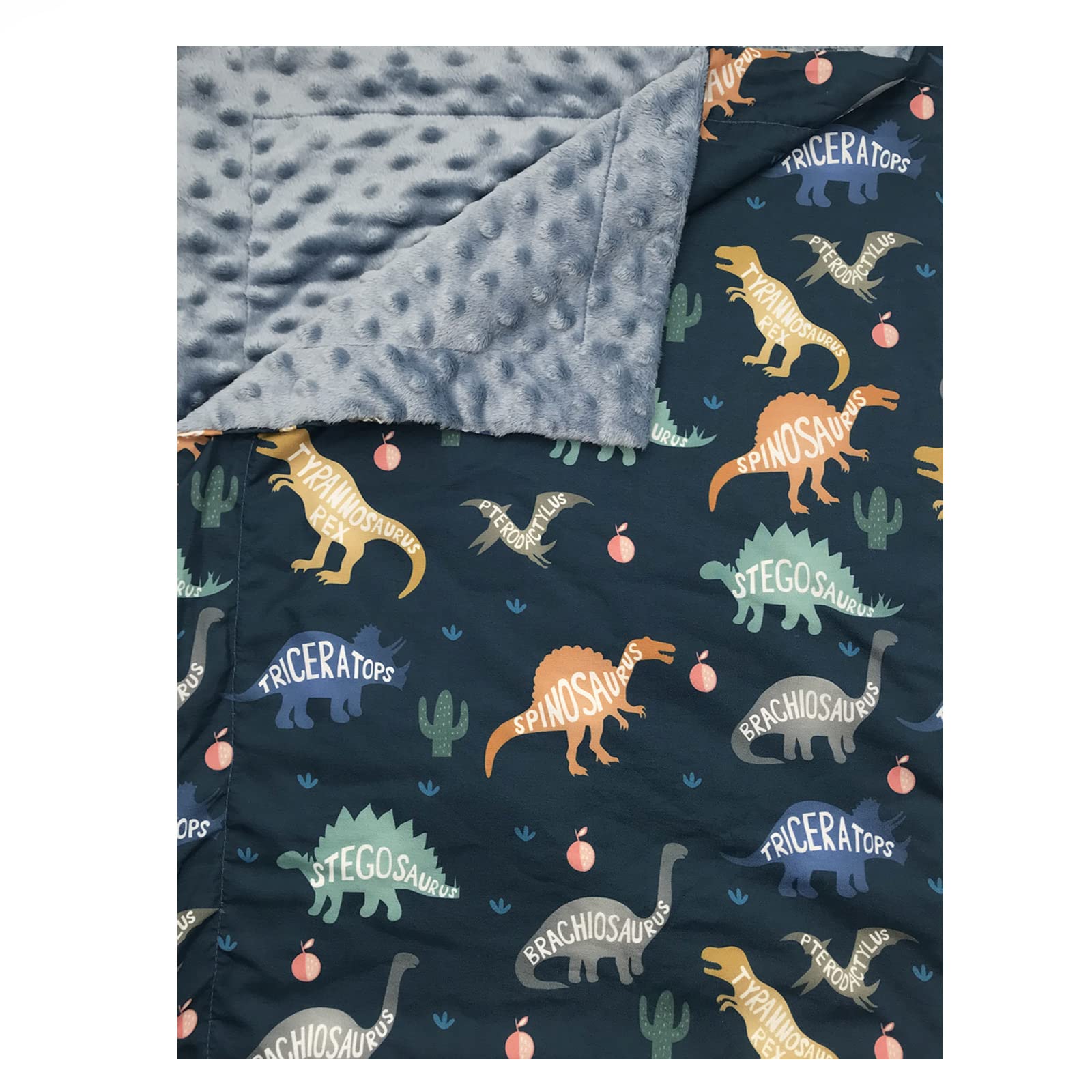 Dinosaur Baby Blanket - Soft Minky Dimple Dot Nursery Blanket for Boys, 40 x 30 Inches - Cozy Infant & Toddler Blanket for Crib, Stroller, Snuggle Time & Playtime