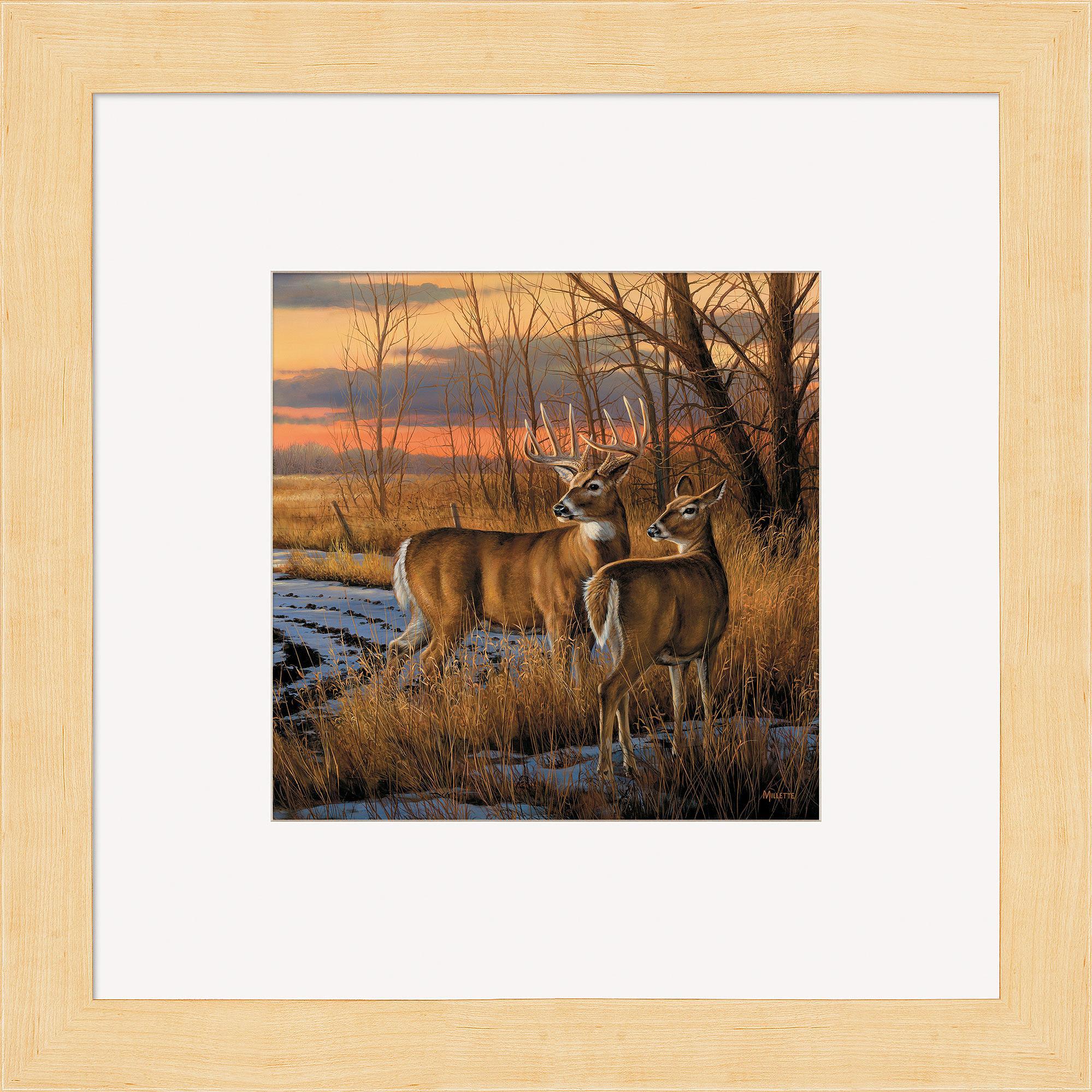 Daybreak Whitetail Deer Hunting Gear & Accessories – Premium Equipment for Whitetail Deer Hunting | Ideal for Outdoor Adventures and Wildlife Photography