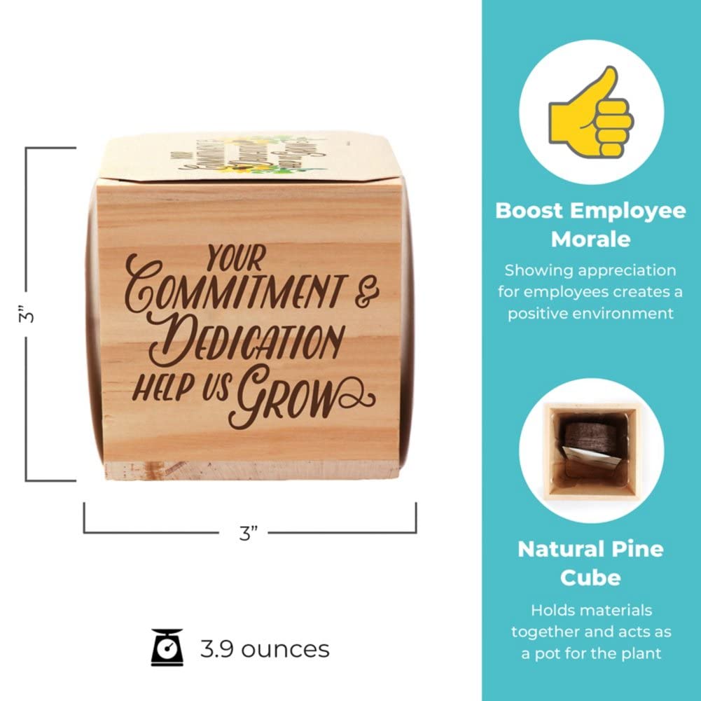 10 Pack Plant Cube Appreciation Gift Set - Sunflower Seeds, Peat Pellets & 3-Inch Wooden Planters - Perfect Thank You Gifts for Employees, Teachers, Nurses - Great for Office Decor, Classroom Activities & Wellness Gifts