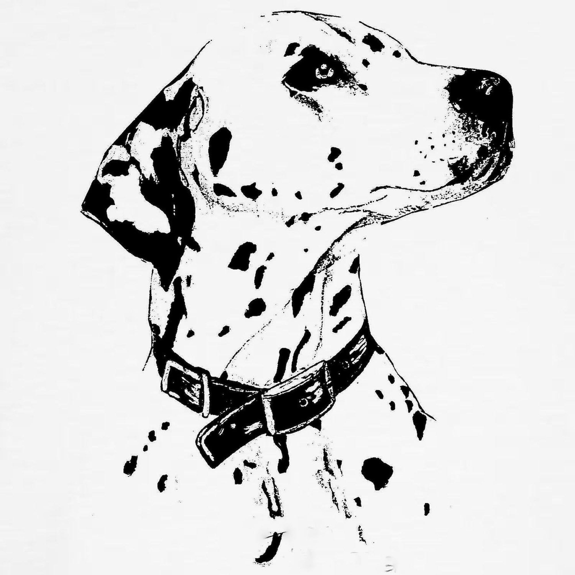 Dalmatians Sweatshirt for Women & Men - Classic Crew Neck Lightweight Pullover | Casual Wear, Dog Lover Gift, Pet Owner Apparel