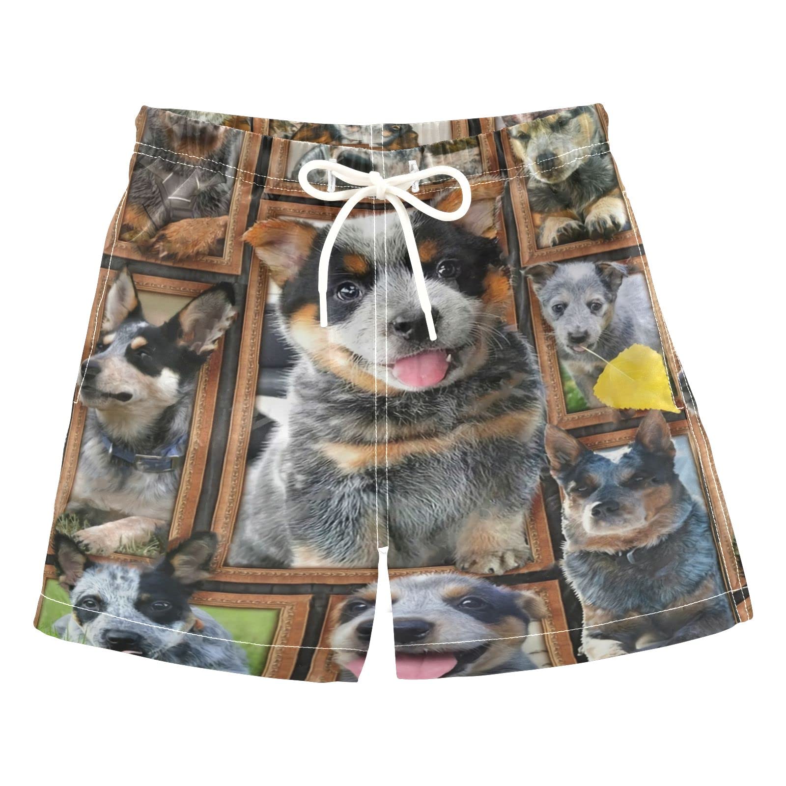 AMICHIC Boys Australian Cattle Dog Swim Trunks - Quick Dry Board Shorts for Beach, Surf & Swimming | Hawaii Vacation Essentials for Boys & Kids | Perfect for Pool, Water Parks & Summer Activities