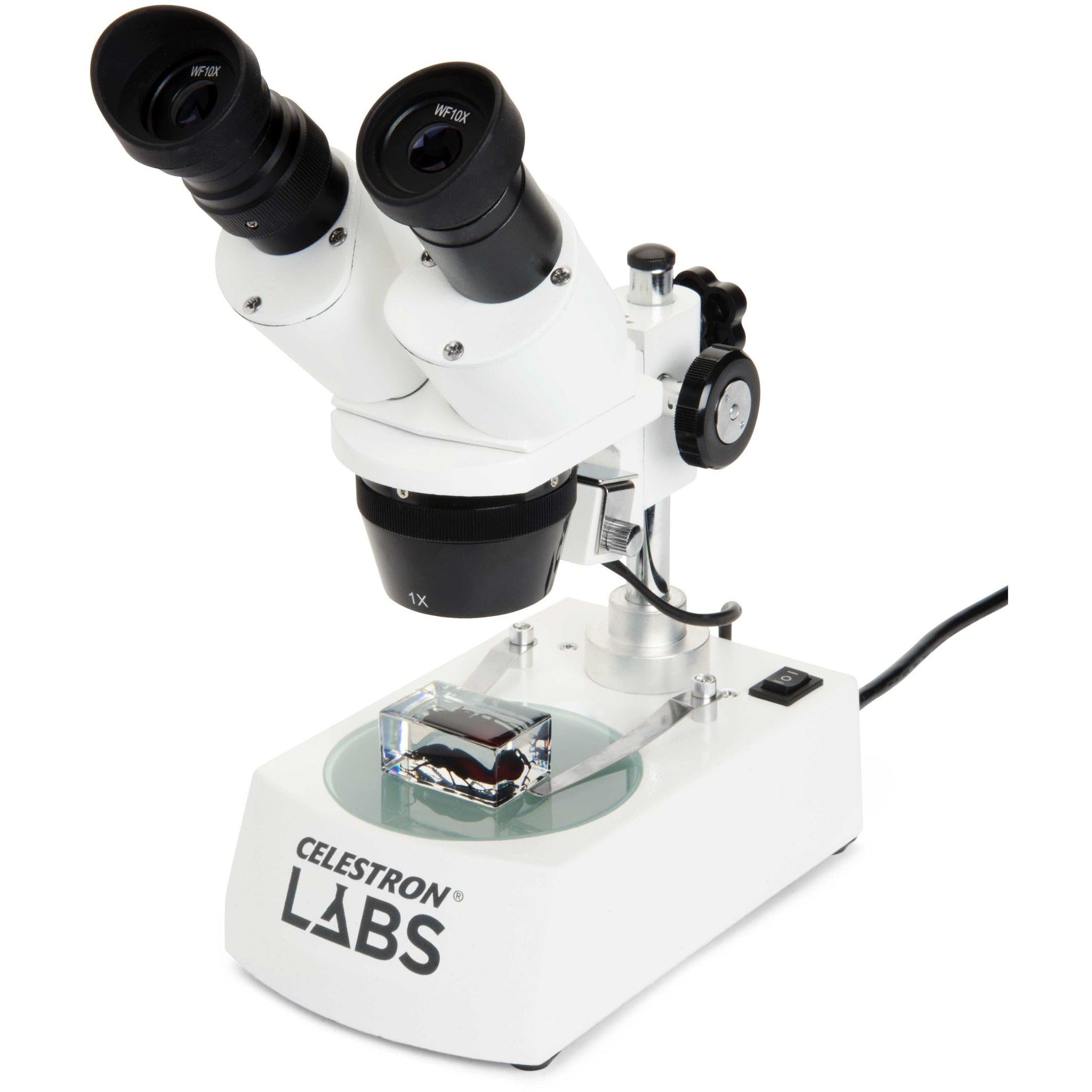 Celestron Labs Stereo Microscope 10-60x Magnification with Dual LED Illumination | Includes 2 Viewing Plates & 4 Specimen Blocks | Perfect for Biology, Jewelry Inspection & Electronics Repair