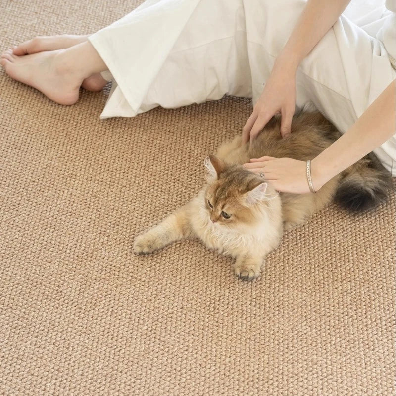 Elianna Faux Linen Minimalist Pet-Friendly Area Rug - Soft Non-Slip Living Room Carpet for Bedroom, Nursery & Home Decor