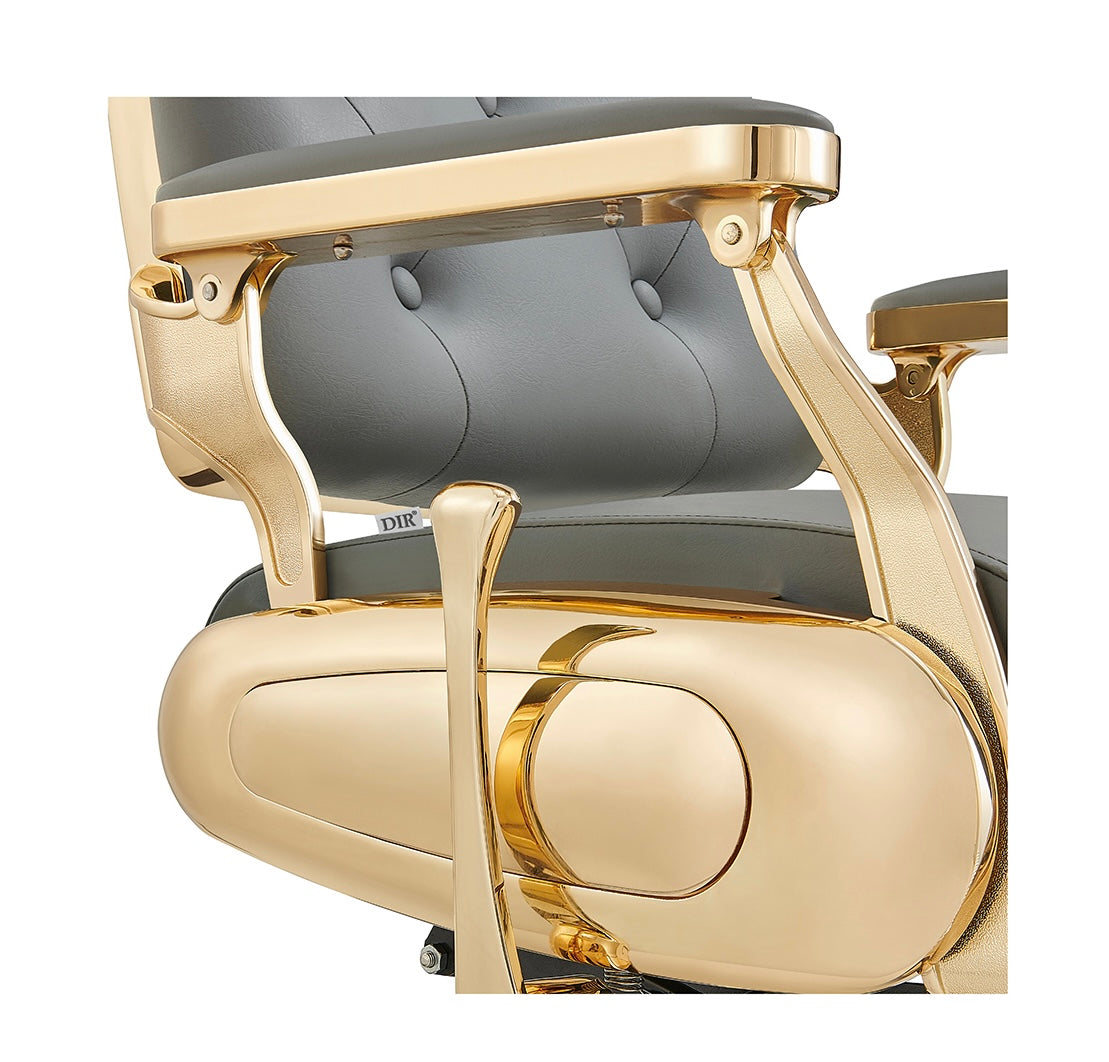 Professional Barber Chair for Salon & Home Use - Heavy Duty Hydraulic Styling Chair with Adjustable Height & Reclining Back - Perfect for Barbershops, Salons & Home Grooming Stations