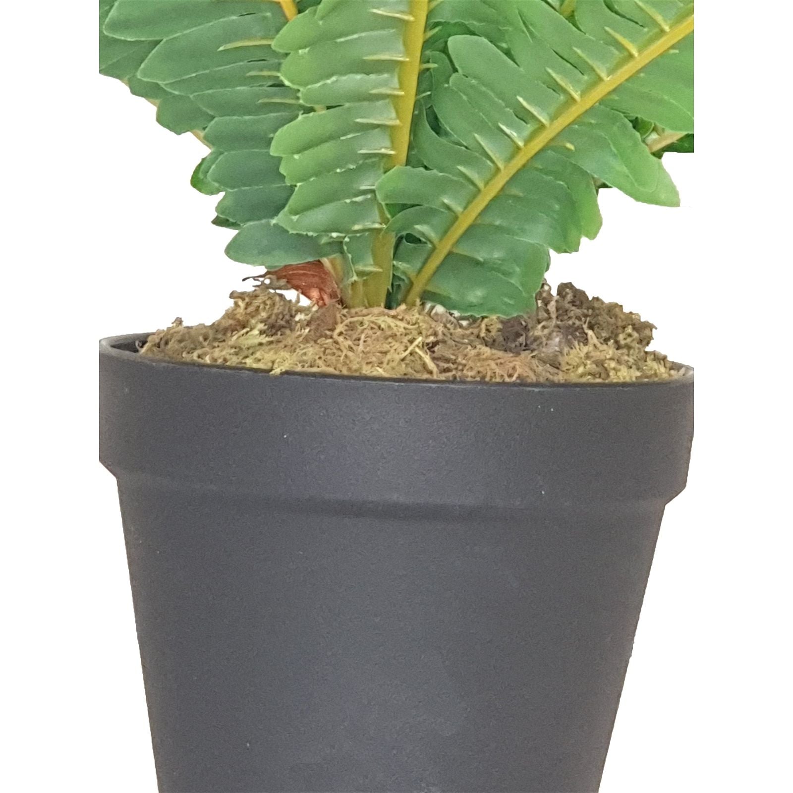 50cm Green Leaf Fern Artificial Plant by Criterion - Perfect for Home Decor, Office Spaces & Wedding Centerpieces