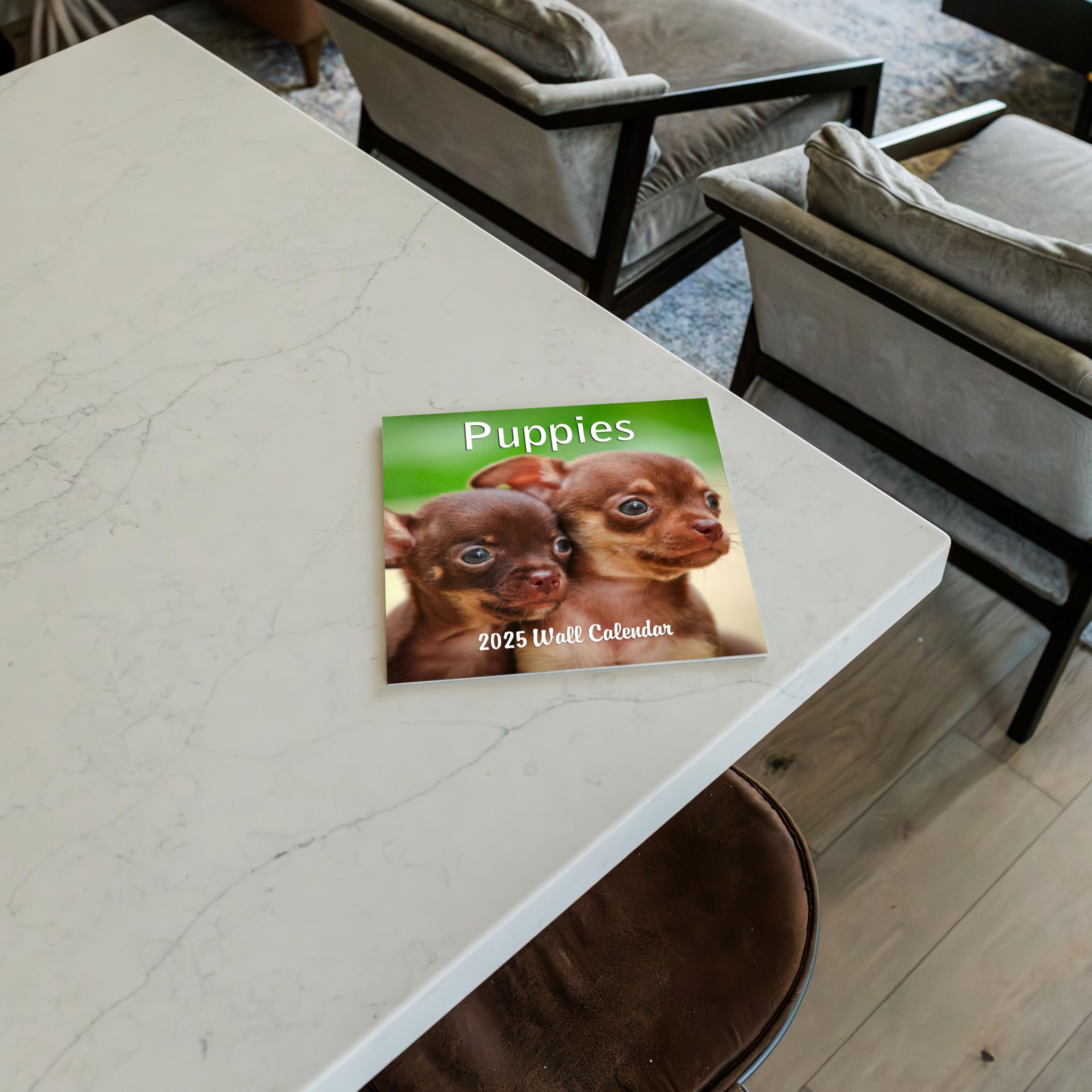 2025 Puppies Monthly Wall Calendar - 12