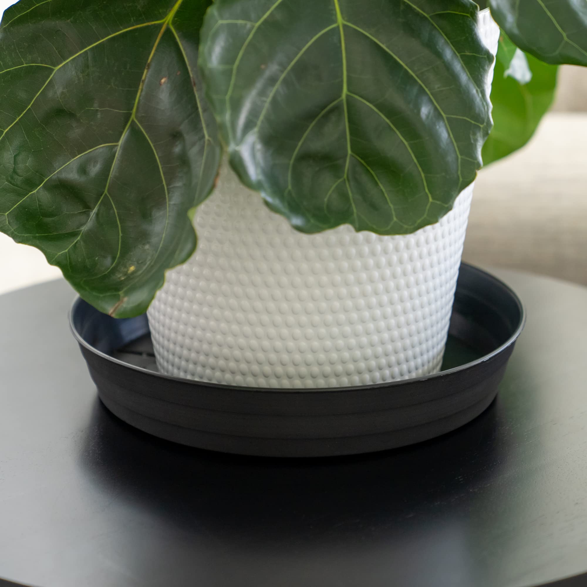Garden Hour 12 Inch Plant Saucers (Pack of 2) - Medium Plastic Drip Trays for Potted Plants - Extra Deep No Hole Plant Trays for Indoor Use - Includes Felt Mats for Floor & Furniture Protection - Perfect for Home, Office & Balcony Plant Care (12W x 1.7D Inches)