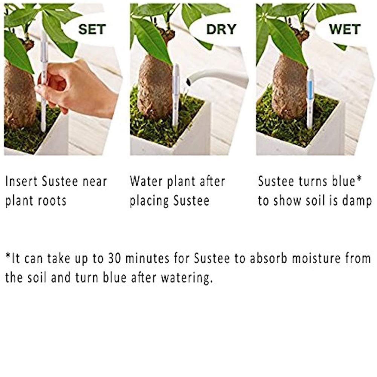 Sustee Aquameter - Set of 4 Plant Soil Moisture Sensors for Indoor/Outdoor Plants (Green, Small) | Perfect for Houseplants, Gardens & Greenhouses