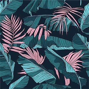 Midnight Tropics